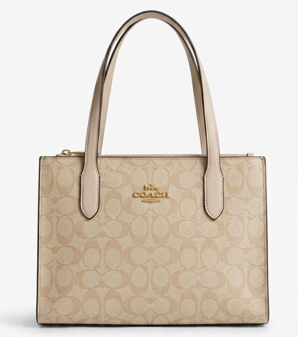 Bolsa cuadrada coach